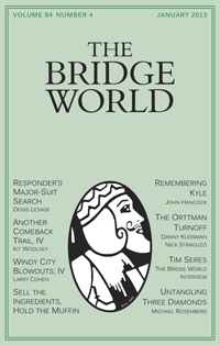 THE BRIDGE WORLD